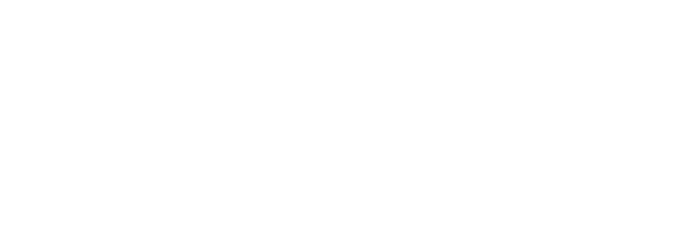 The Action Foundation